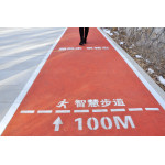 Park Fitness Trail